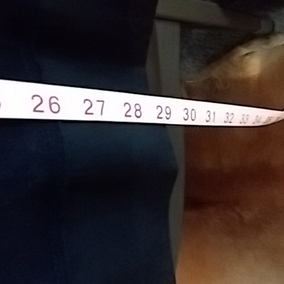 Kensie Girl oversize tshirt - Picture 8 of 8